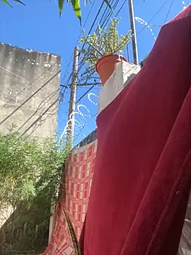 Alicbranca online show from 03.15.26