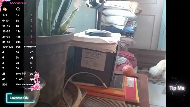 Snapshot of Star-Night chatting on 02.01.26 Star-Night online show from 02.01.26