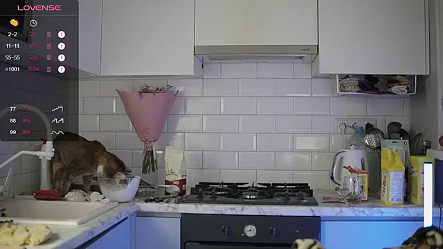 Snapshot of melanielwithu chatting on 12.13.24 melanielwithu online show from 12.13.24