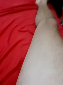 Snapshot of AquilesG4 chatting on 04.02.26 AquilesG4 online show from 04.02.26