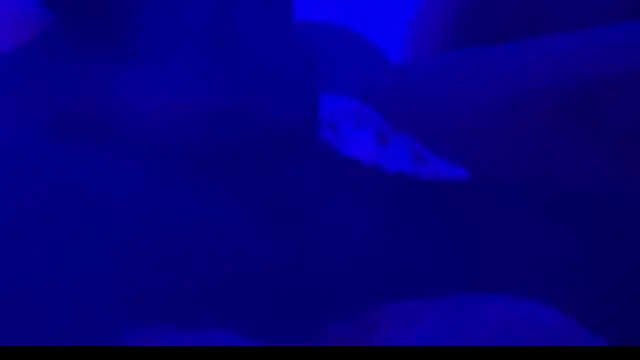 montydxxxx online show from 09.25.25