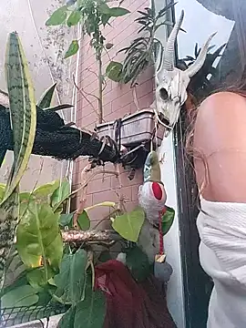 k lebannon online show from 02.20.25