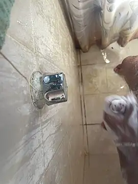 Snapshot of MisaelR10 chatting on 09.23.25 MisaelR10 online show from 09.23.25