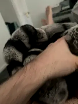 Snapshot of Furdale chatting on 12.03.24 Furdale online show from 12.03.24