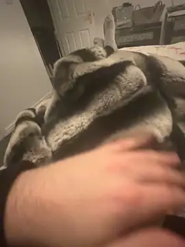 Snapshot of Furdale chatting on 12.07.24 Furdale online show from 12.07.24