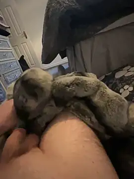 Snapshot of Furdale chatting on 01.01.25 Furdale online show from 01.01.25