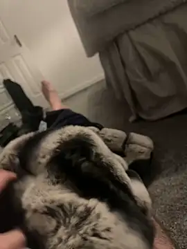 Snapshot of Furdale chatting on 01.06.25 Furdale online show from 01.06.25