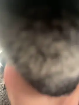 Snapshot of Furdale chatting on 02.22.25 Furdale online show from 02.22.25