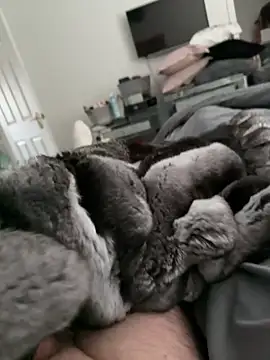 Snapshot of Furdale chatting on 10.30.25 Furdale online show from 10.30.25