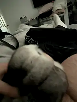 Snapshot of Furdale chatting on 12.16.25 Furdale online show from 12.16.25