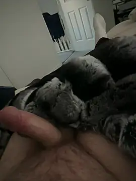 Furdale online show from 02.28.26