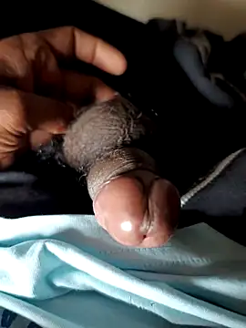 malluflash online show from 11.29.25