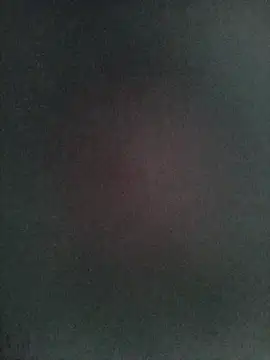 Snapshot of LeilaSaint chatting on 12.21.25 LeilaSaint online show from 12.21.25