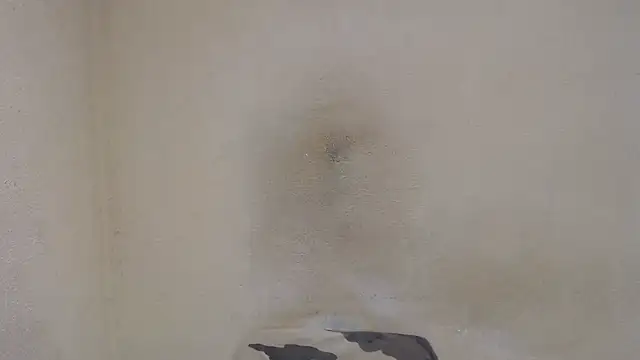 Snapshot of AlexNudo chatting on 12.31.24 AlexNudo online show from 12.31.24