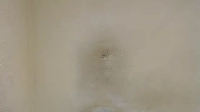 Snapshot of AlexNudo chatting on 01.30.25 AlexNudo online show from 01.30.25