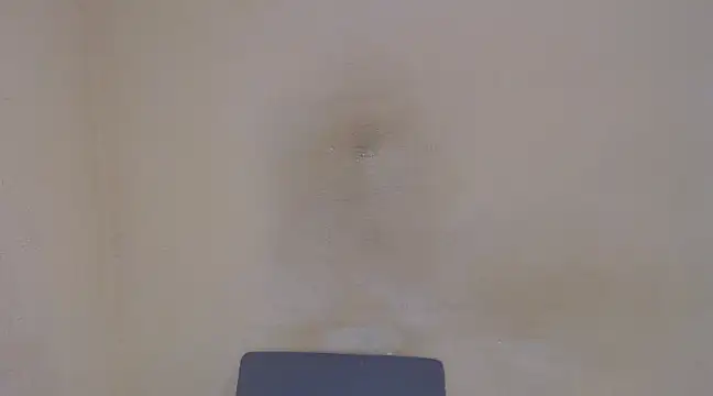 Snapshot of AlexNudo chatting on 02.05.25 AlexNudo online show from 02.05.25