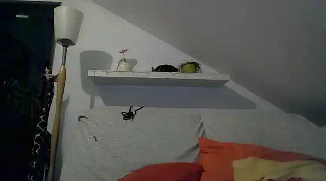 Cambitchboy online show from 02.14.25