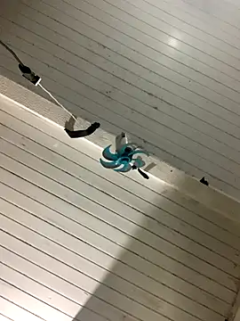 raphadoors19 online show from 12.17.25