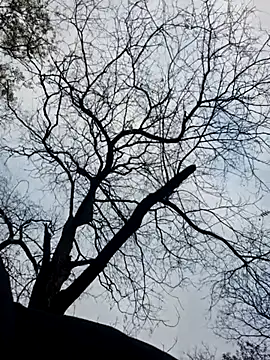 Snapshot of Keli_Jessi chatting on 11.19.25 Keli Jessi online show from 11.19.25