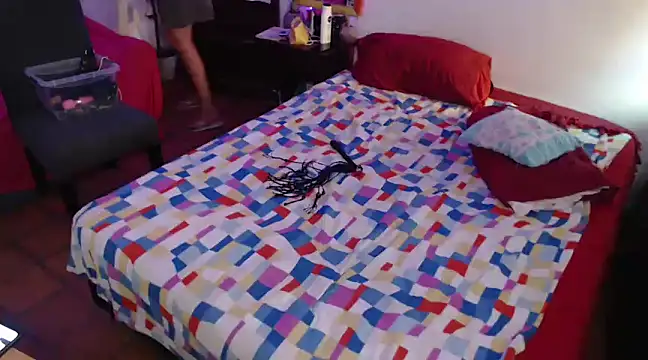 deftoolceles online show from 03.20.25