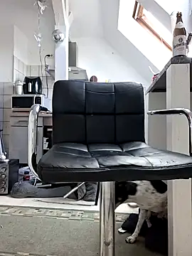 Snapshot of Percy_ohv chatting on 03.29.26 Percy ohv online show from 03.29.26