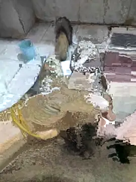 My120my120 online show from 12.19.25