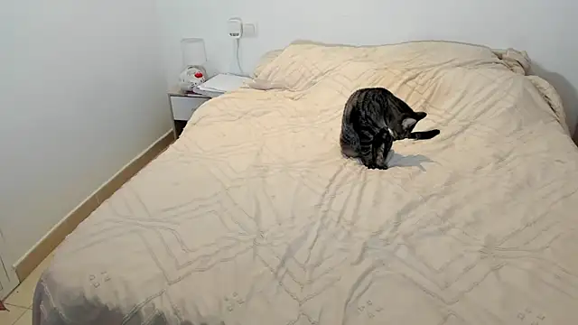 Snapshot of MariaMeir chatting on 01.10.26 MariaMeir online show from 01.10.26