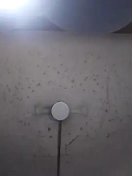 marie12345679 online show from 02.26.26