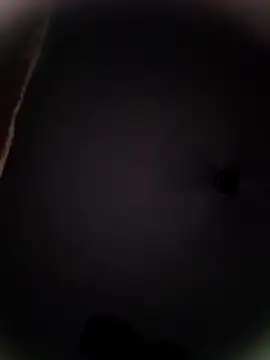 Pitercom online show from 10.19.25