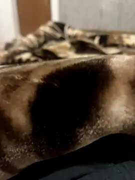 Snapshot of bigshow112 chatting on 11.13.25 bigshow112 online show from 11.13.25