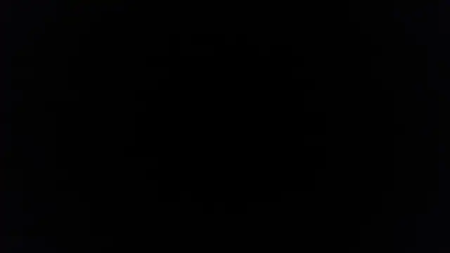 Snapshot of palidin1 chatting on 12.05.25 palidin1 online show from 12.05.25