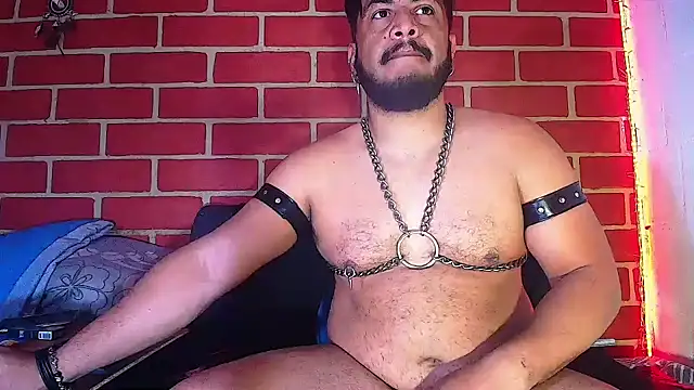 the master foal  online show from 02.04.25