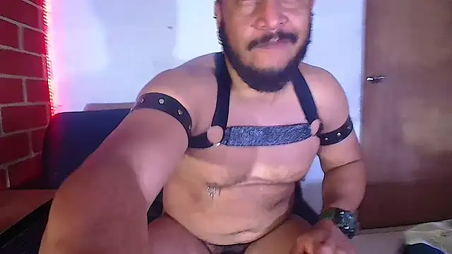 the master foal  online show from 02.06.25