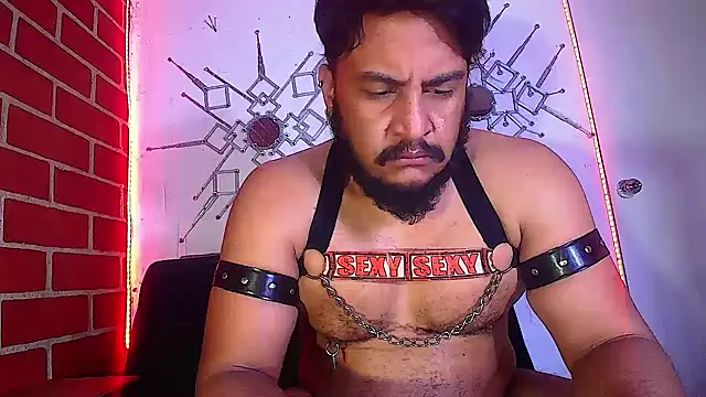 the master foal  online show from 02.16.25