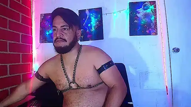 the master foal  online show from 03.01.25