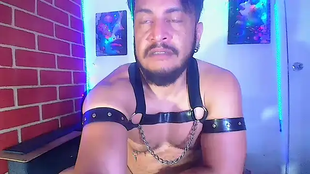 the master foal  online show from 03.07.25