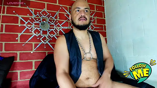 the master foal  online show from 10.01.25