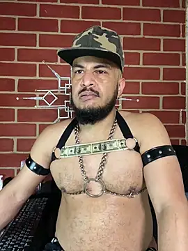 the master foal  online show from 02.04.26