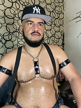 the master foal  online show from 03.12.26