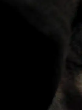 Snapshot of indian_boy001 chatting on 02.23.25 indian boy001 online show from 02.23.25