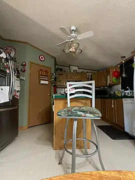 Snapshot of mailmanmark chatting on 12.21.24 mailmanmark online show from 12.21.24