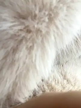 Snapshot of Feral_berry_8133 chatting on 12.02.24 Feral berry 8133 online show from 12.02.24