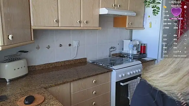 Snapshot of Lunamix chatting on 01.24.25 Lunamix online show from 01.24.25