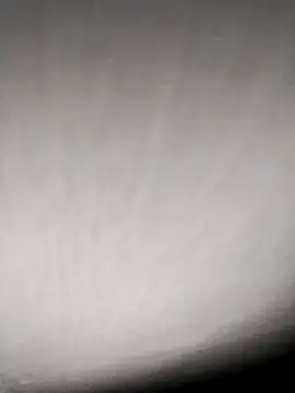 Annerae online show from 04.09.26