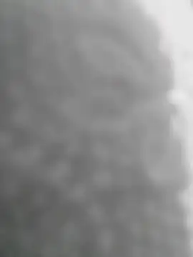 Sexilvenia online show from 05.15.26