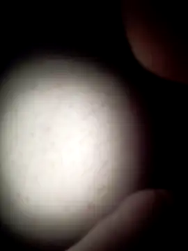 commonjust online show from 11.26.25