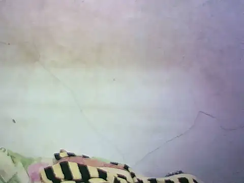 wet babexxx online show from 10.08.25