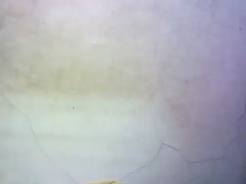 wet babexxx online show from 10.09.25