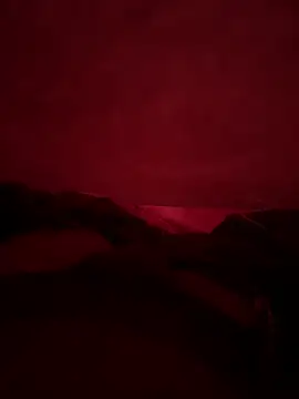 vicky 897n online show from 12.21.24