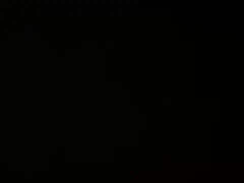 Snapshot of LuckyHoneyyy chatting on 12.31.24 LuckyHoneyyy online show from 12.31.24